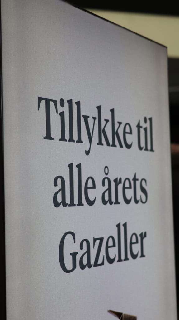 Hygge på firmatur